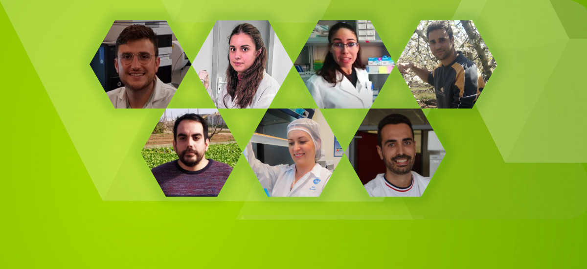 Premiados siete jóvenes investigadores por sus presentaciones en el Workshop Agroalimentario de la UPCT
